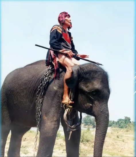 Ca dao về cội nguồn và sức mạnh thiên nhiên