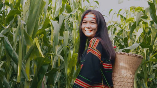  Lời động viên và Hứa hẹn